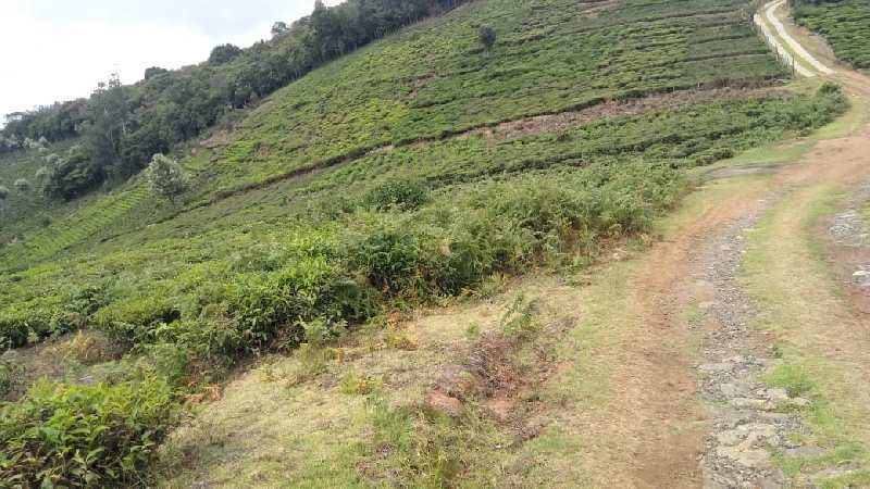 Agricultural Land 10 Acre for Sale in Kotagiri, Nilgiris