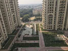 4 BHK Flat for Rent in Shivaji Marg, Delhi