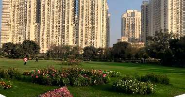 3 BHK Flat for Rent in New Moti Nagar, Delhi