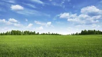  Commercial Land for Rent in Varthur, Bangalore