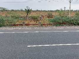  Agricultural Land for Sale in Main Pali to ahemdabad highway road, Pali