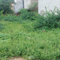  Residential Plot for Sale in Jhalamand Circle, Jodhpur