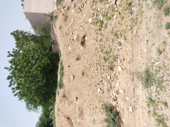  Residential Plot for Sale in Pali Road, Jodhpur