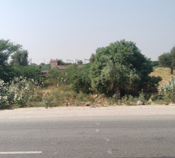  Commercial Land for Sale in Pali Road, Jodhpur