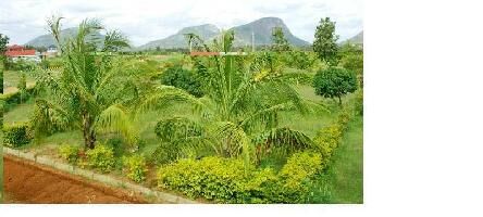  Residential Plot for Sale in Devanahalli, Bangalore