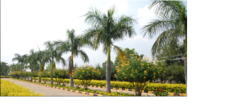  Residential Plot for Sale in Nandi Hills, Bangalore