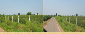  Agricultural Land for Sale in Talod, Sabarkantha