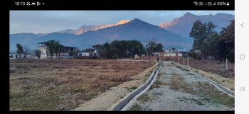  Residential Plot for Sale in Yol Cantt, Dharamsala