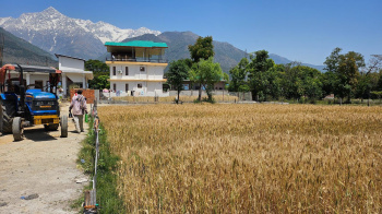  Residential Plot for Sale in Tang Narwana, Dharamshala