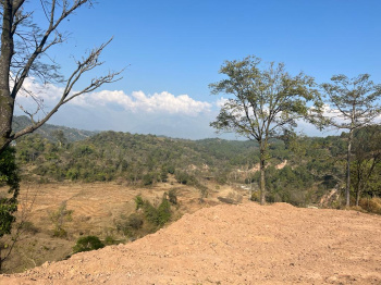  Residential Plot for Sale in Bhawarna, Kangra