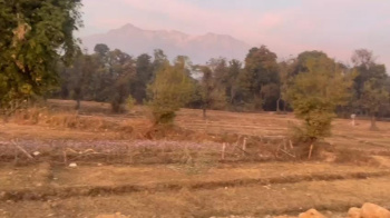  Residential Plot for Sale in Nagrota Bagwan, Kangra