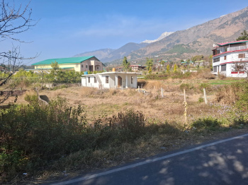  Residential Plot for Sale in Tang Narwana, Dharamshala