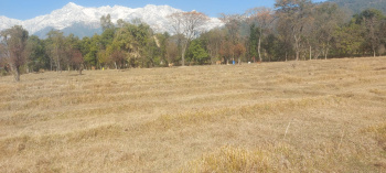  Residential Plot for Sale in Dari, Dharamsala