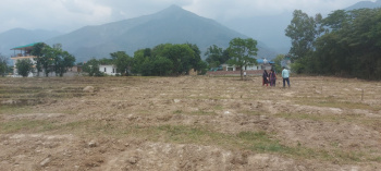  Residential Plot for Sale in Palampur Road, Dharamsala