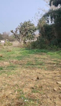  Residential Plot for Sale in Jawali, Kangra