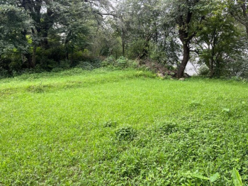  Residential Plot for Sale in Mcleodganj, Dharamsala