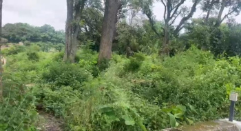  Residential Plot for Sale in Tanda, Kangra