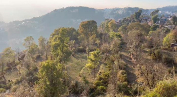 Residential Plot for Sale in Khanyara Road, Dharamsala