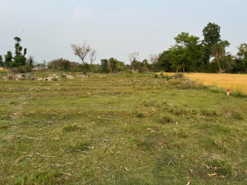  Residential Plot for Sale in Barol, Dharamshala