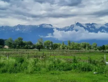  Residential Plot for Sale in Khanyara Road, Dharamsala