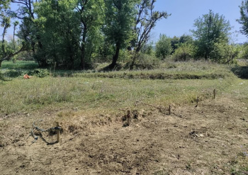  Residential Plot for Sale in Dari, Dharamsala
