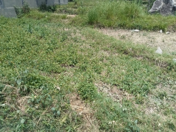  Residential Plot for Sale in Dari, Dharamsala