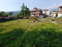  Residential Plot for Sale in Banuri, Palampur