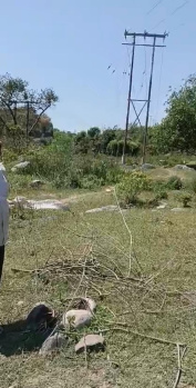  Residential Plot for Sale in Sudher, Dharamsala