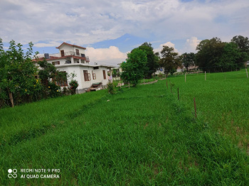  Residential Plot for Sale in Khanyara Road, Dharamsala