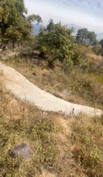  Residential Plot for Sale in Matour, Kangra