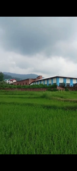  Residential Plot for Sale in Dari, Dharamsala