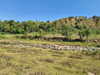  Residential Plot for Sale in Palampur, Kangra