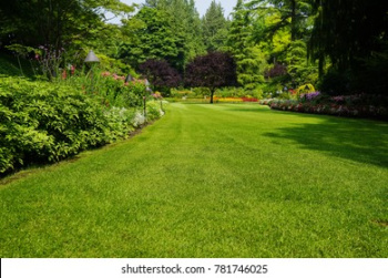  Residential Plot for Sale in Yol Cantt, Dharamsala