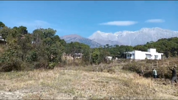  Residential Plot for Sale in Palampur Road, Dharamsala