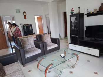 2 BHK Flat for Sale in Sidhbari, Dharamsala