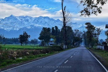 Residential Plot for Sale in Palampur Road, Dharamsala