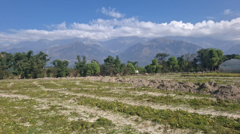  Residential Plot for Sale in Palampur Road, Dharamsala