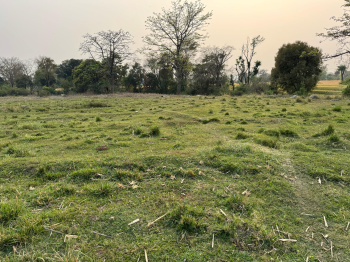 Residential Plot for Sale in Chimbalhar, Palampur