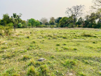 Residential Plot for Sale in Chohla, Dharamshala