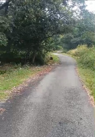  Residential Plot for Sale in Rakkar, Dharamshala