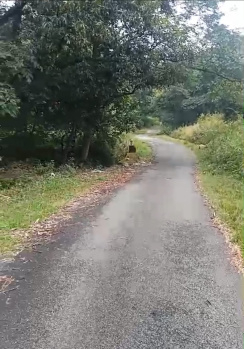  Residential Plot for Sale in Rakkar, Dharamshala