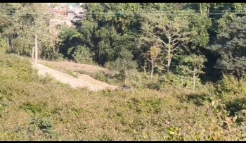  Residential Plot for Sale in Palampur, Kangra