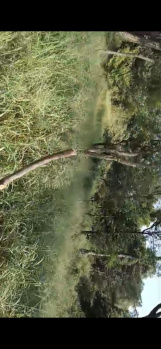  Residential Plot for Sale in Amb, Una