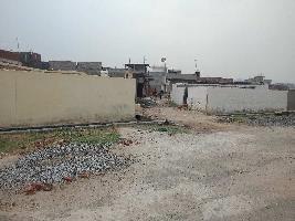  Residential Plot for Sale in Sector 79 Noida