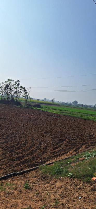  Agricultural Land 40 Bigha for Sale in Naugaon, Alwar