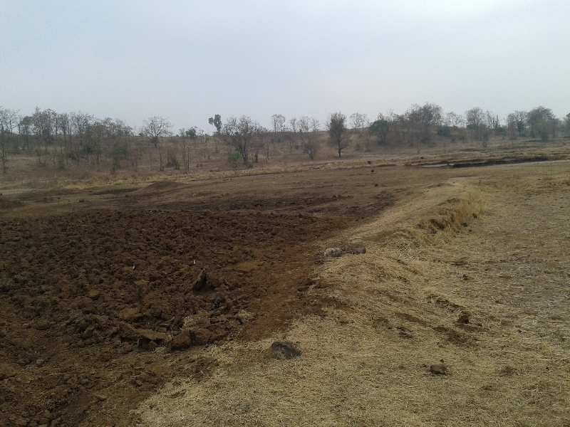 Agricultural Land 6 Acre for Sale in Shahapur, Thane