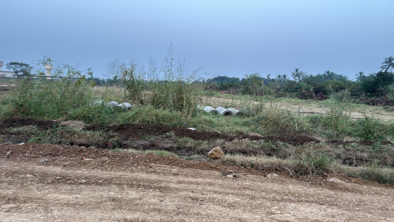  348000 Sq.ft. Industrial Land for Sale in Bhilad, Vapi