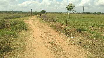  Agricultural Land for Sale in Gandhipuram, Thanjavur