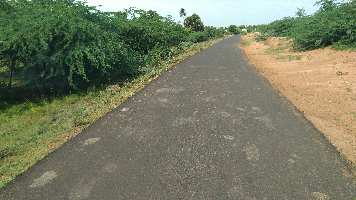  Agricultural Land for Sale in Pudukudi, Thanjavur