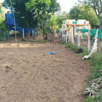  Agricultural Land for Sale in Marungulam, Thanjavur